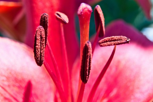 9095494316_7fe411a349_c