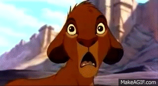 The_Lion_King_Stampede